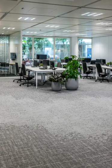 Bank Offices Flexdesks Artcore Carpet Collections